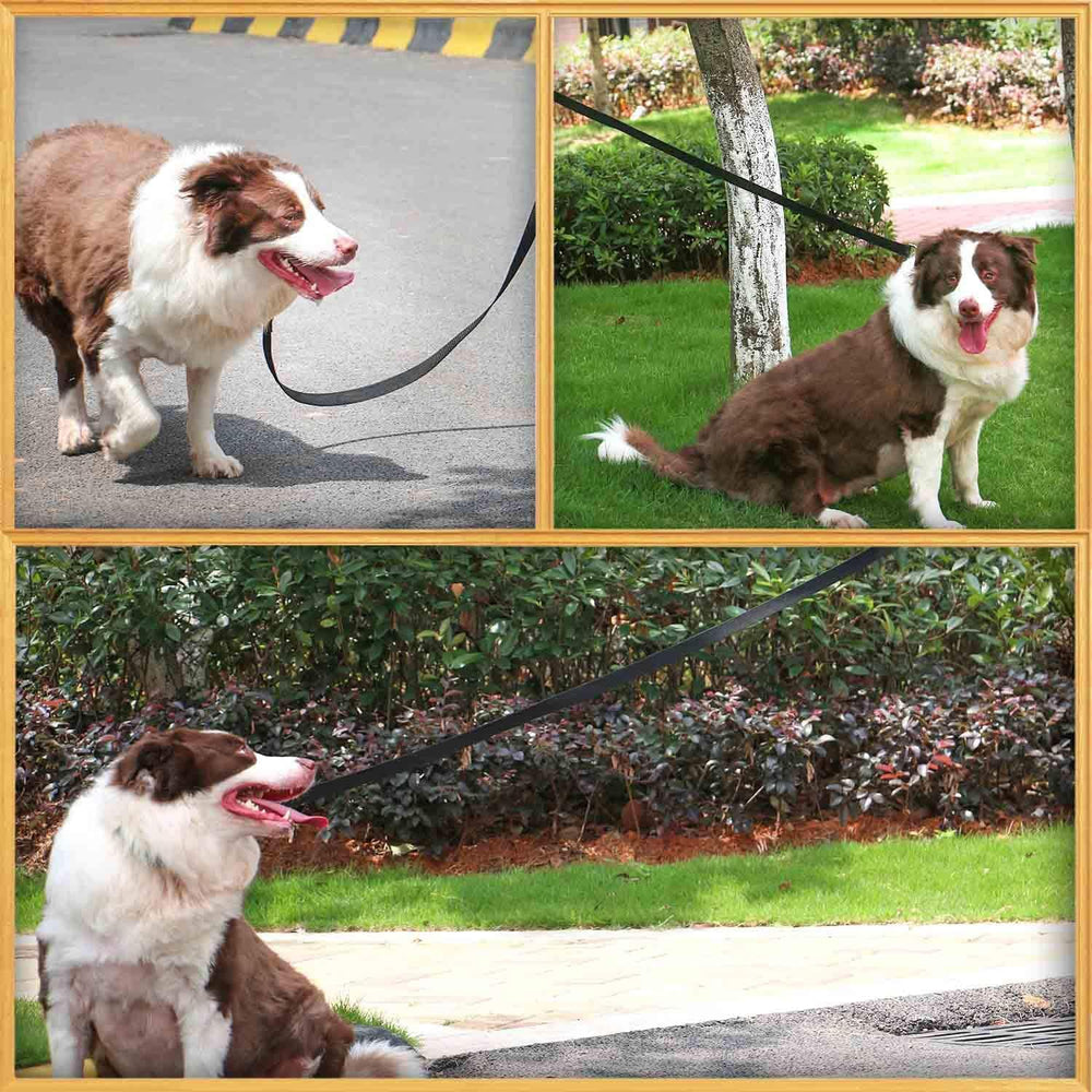 AMAGOOD cat leash 6ft in use during outdoor adventures