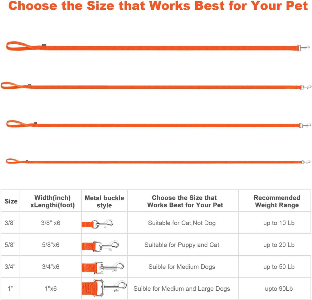 AMAGOOD dual-pack leash set offers great value for multi-dog households.