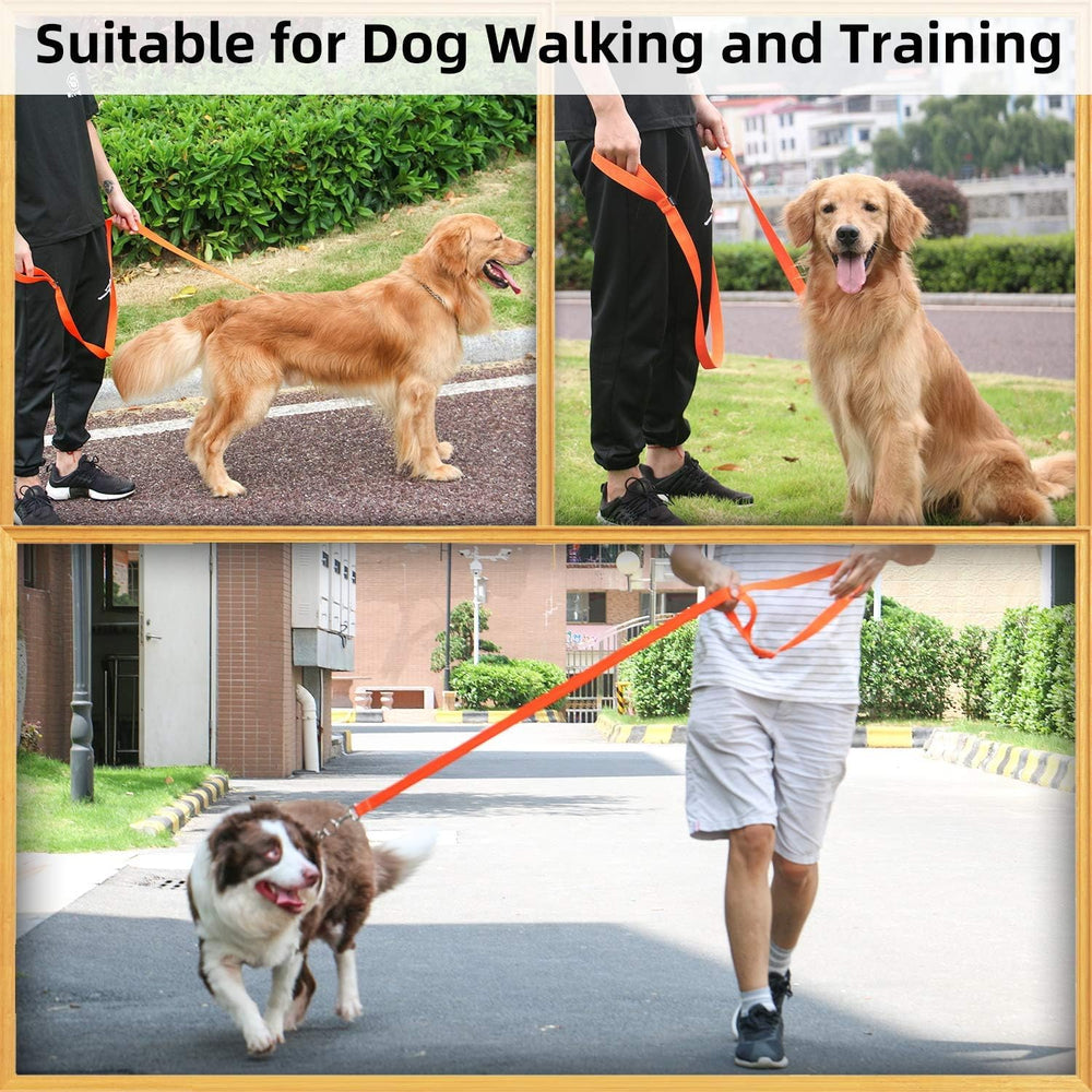 AMAGOOD leash with easy-on/off collar hook for quick securement.