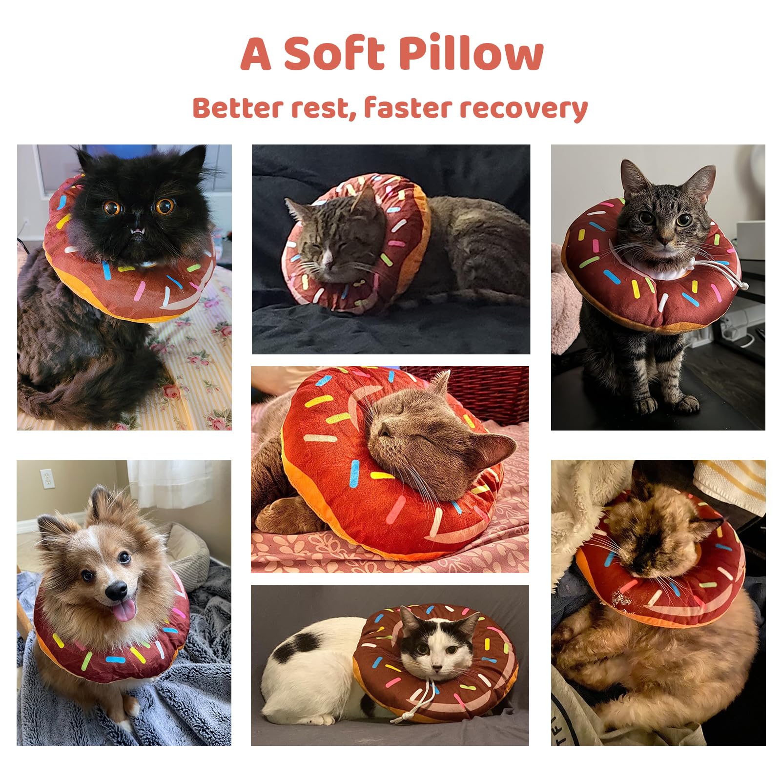 Amakunft donut cone worn by a cat during post-surgery care