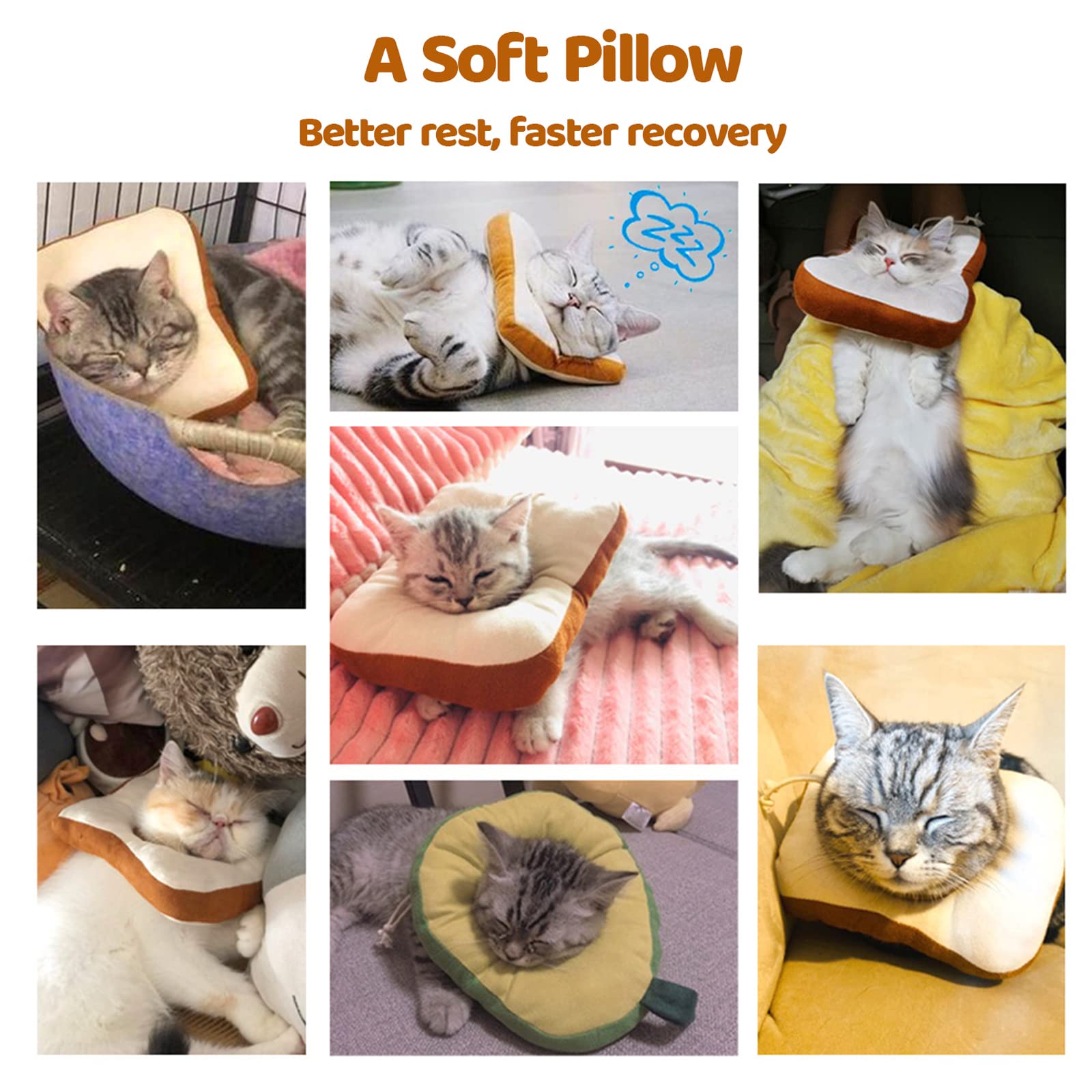 Amakunft Elizabethan collar for kitten demonstrates lightweight protection