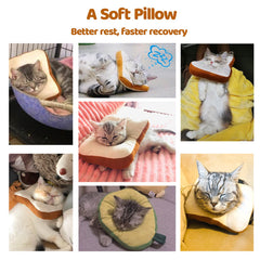 Amakunft Elizabethan collar for kitten demonstrates lightweight protection