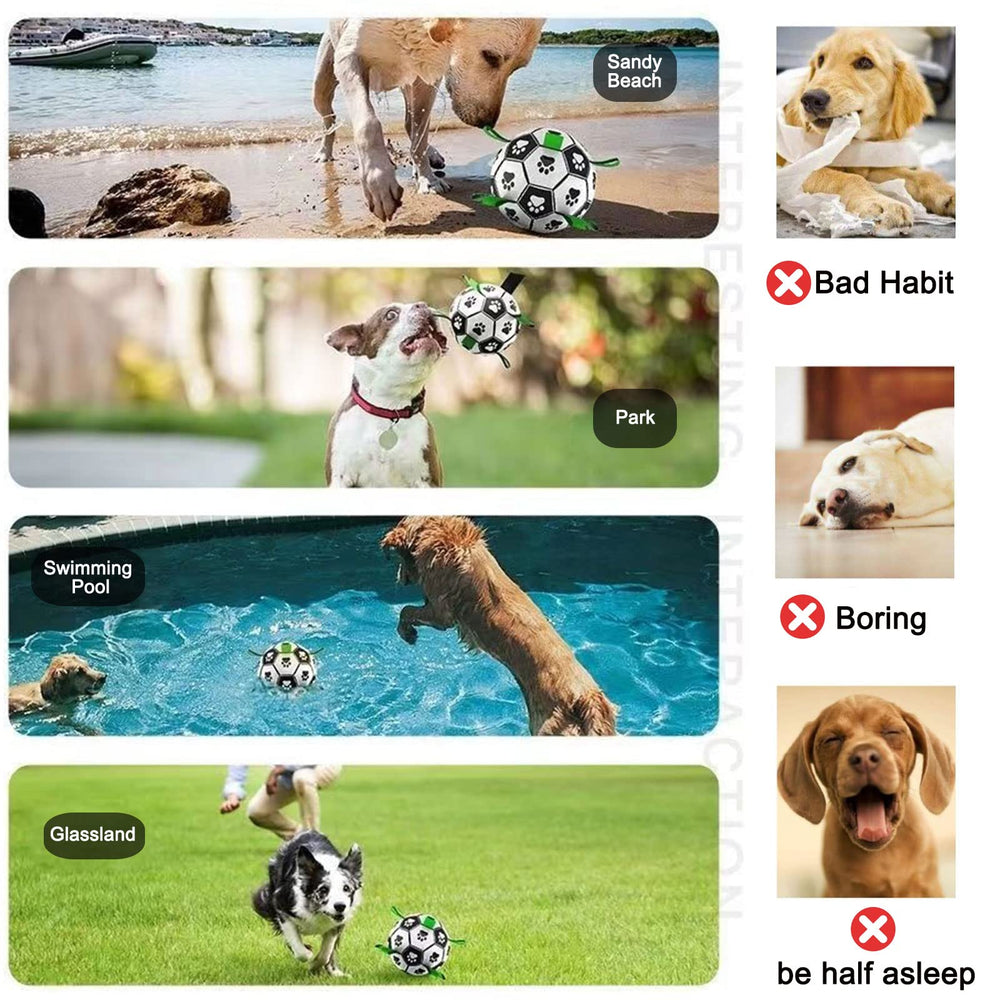 Amasiver dog ball with irregular bounce enhances chase excitement