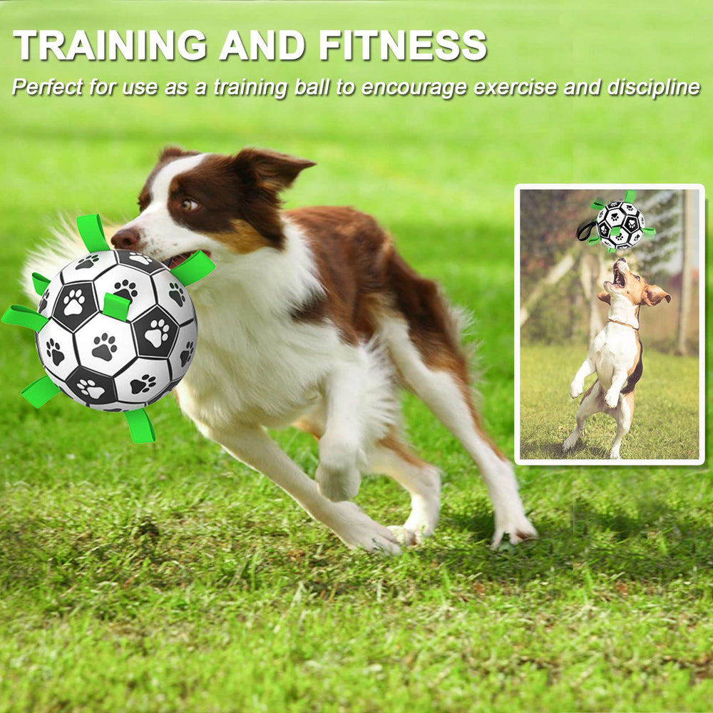 Amasiver dog soccer ball toy demonstrates irregular high-bounce activity to spark chase games.