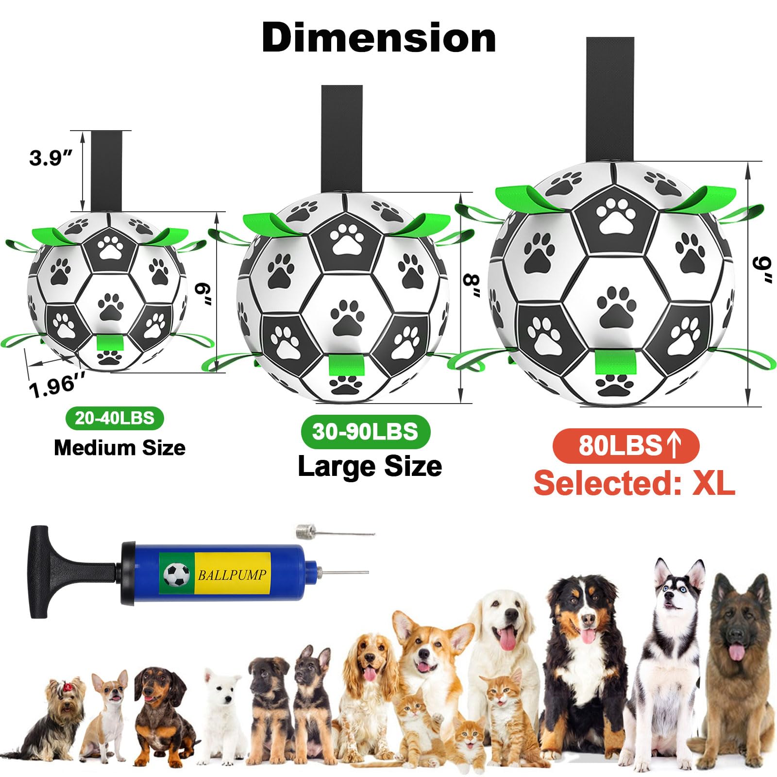 Amasiver puppy-friendly toy supports active training and bonding