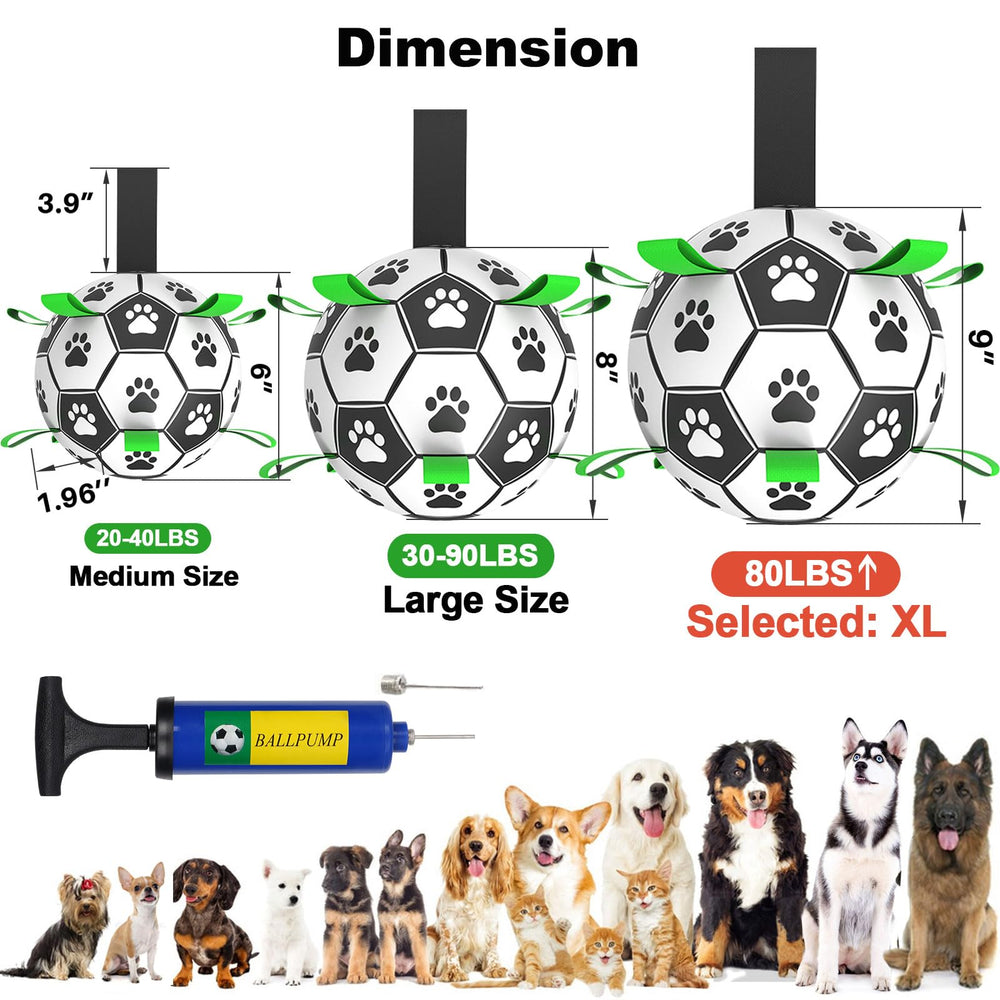 Amasiver puppy-friendly toy supports active training and bonding