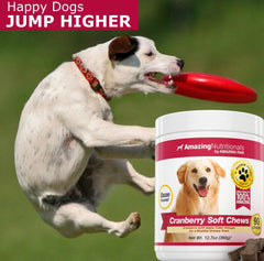 Amazing Cranberry for Dogs packaging front shows convenient daily chewables.