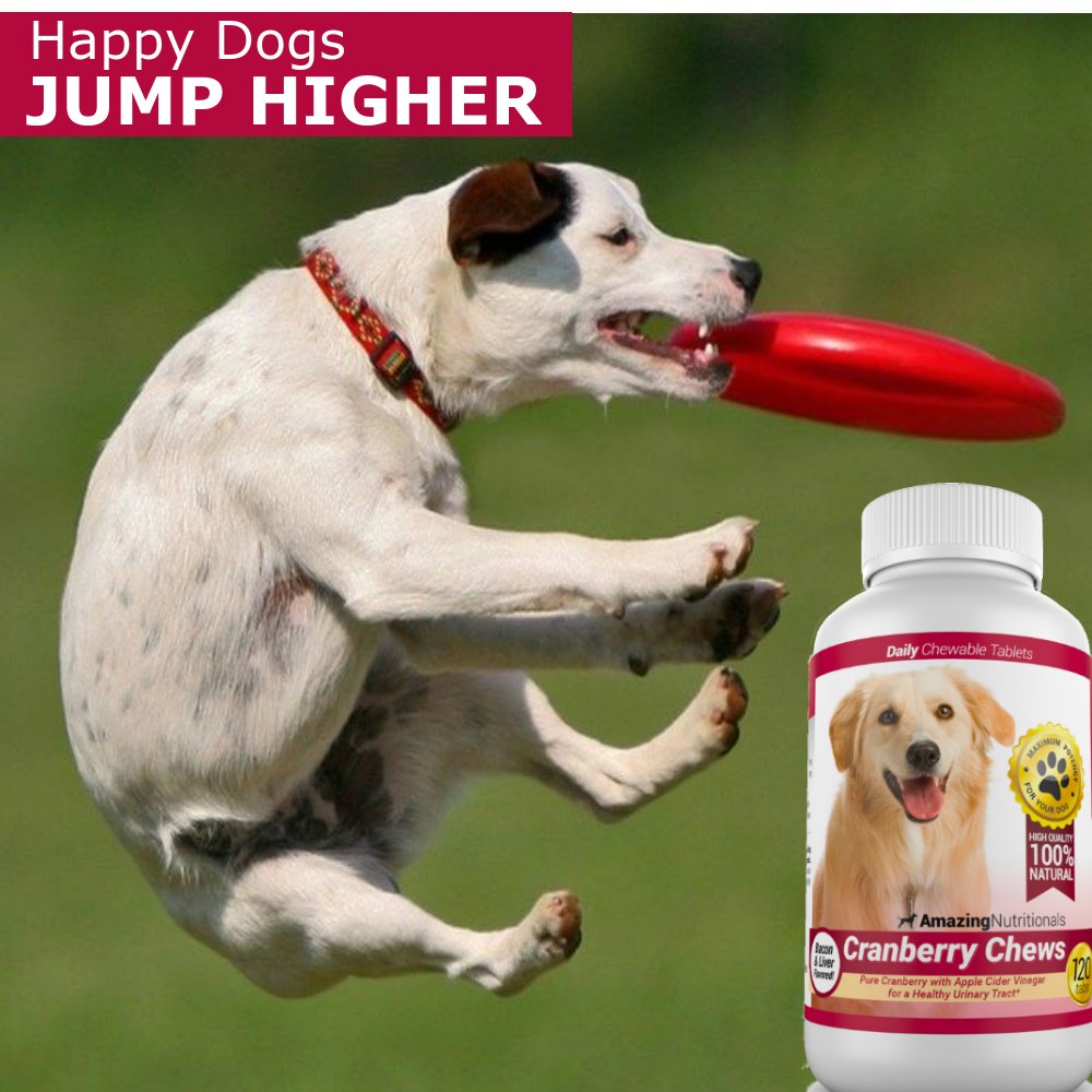 Amazing Cranberry for Dogs pouch packaging layout emphasizing convenient bladder health support
