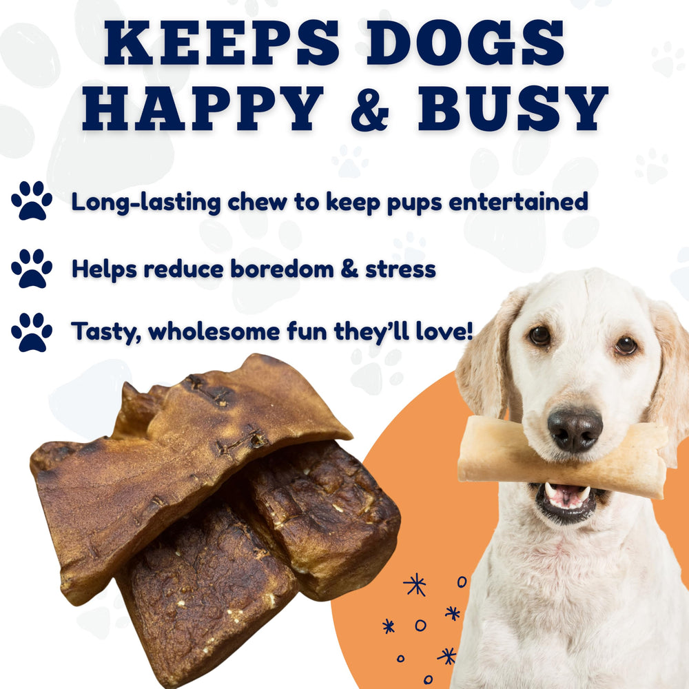 Amazing Dog Treats Beef Cheek Chip Squares single-ingredient chew with simple ingredients.