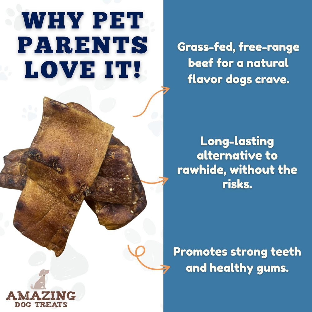 Amazing Dog Treats Beef Cheek Chip Squares thick-cut chew designed for longer chewing sessions.