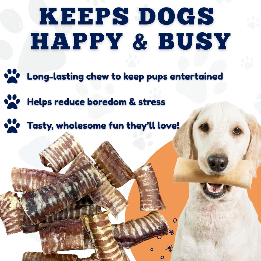 Amazing Dog Treats beef trachea rings resealable bag—easy storage