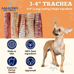 Amazing Dog Treats beef trachea rings texture close-up—long-lasting chew