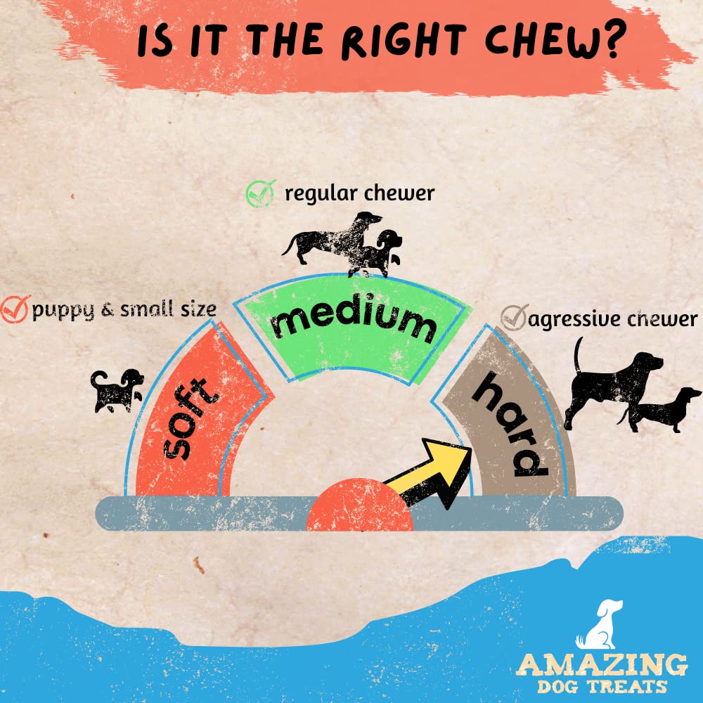 Amazing Dog Treats bully-stick bites dental-care focus illustrating gum-stimulation and tartar-reduction potential.