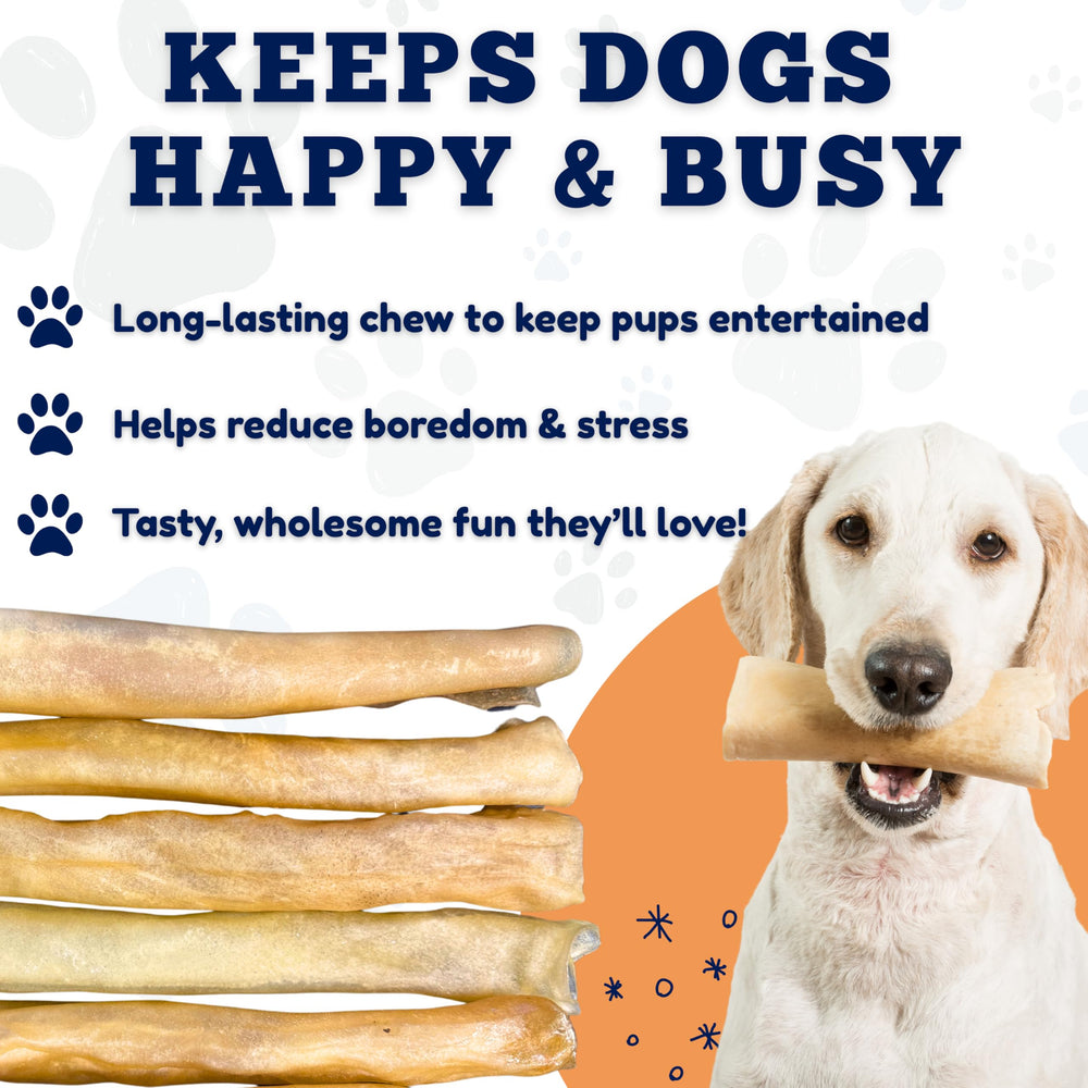 Amazing Dog Treats storage tub image highlighting freshness and convenience of 50-count.
