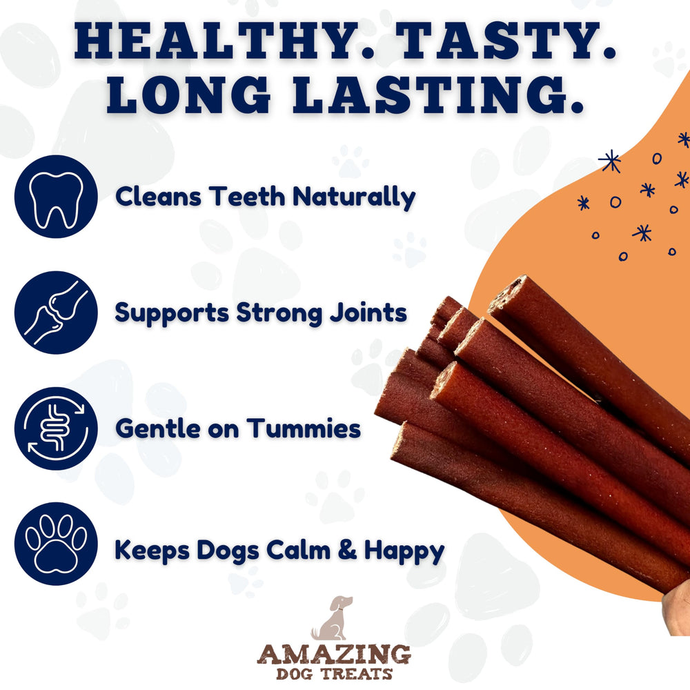 Amazing Dog Treats collagen stick promotes healthy gums during playful chews.