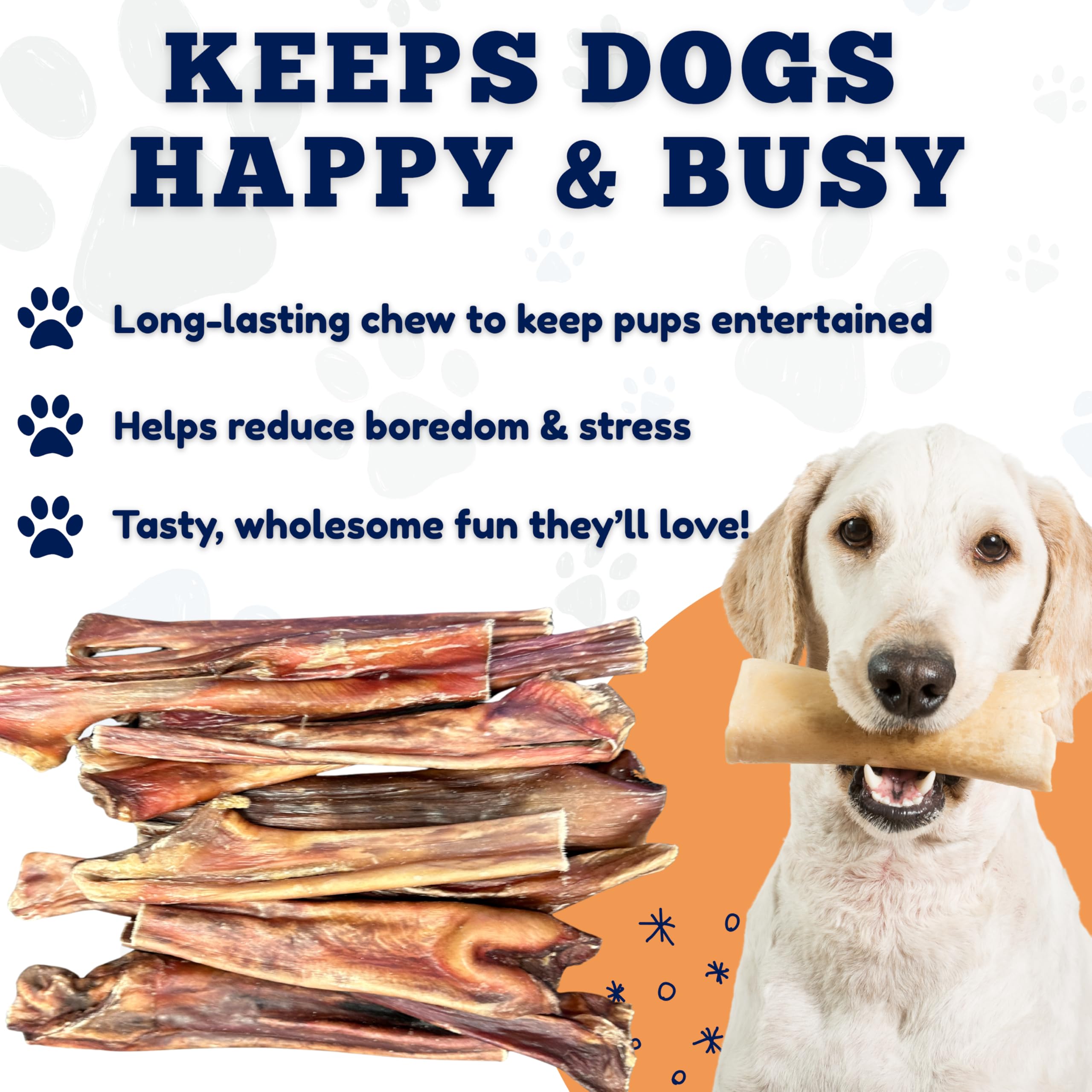 Amazing Dog Treats dental care scene — gum and teeth stimulation during chewing