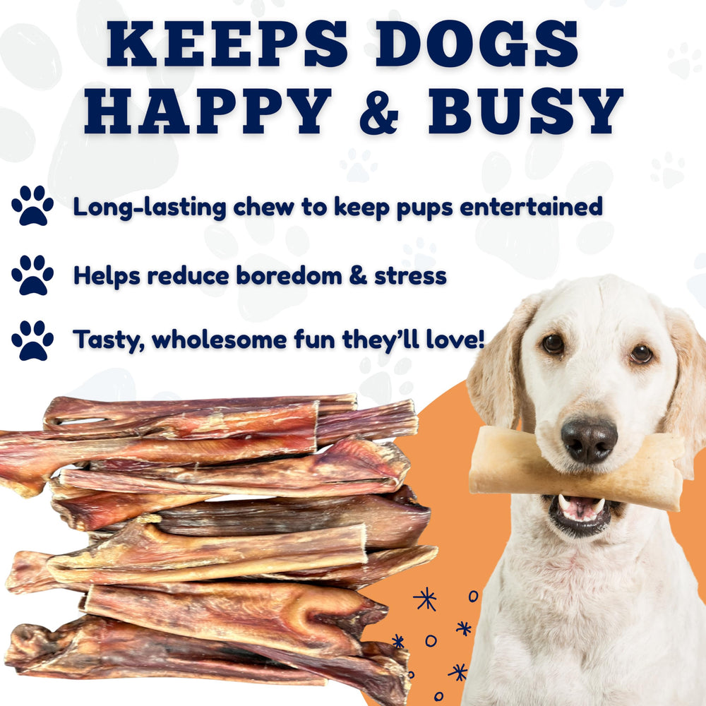Amazing Dog Treats dental care scene — gum and teeth stimulation during chewing