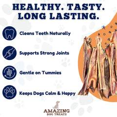 Amazing Dog Treats dog chew action during play and chew time
