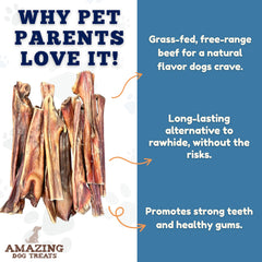 Amazing Dog Treats gullet sticks serving — single-ingredient beef esophagus chew
