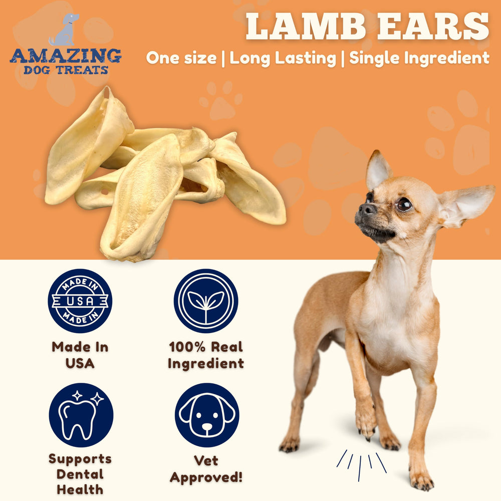 Amazing Dog Treats lamb ears jumbo size highlighted for bigger dogs