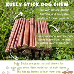Amazing Dog Treats medium bully sticks dog chewing action captures long-lasting chew session.
