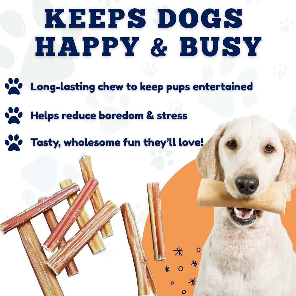 Amazing Dog Treats no additives ensure a cleaner chewing experience