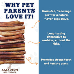 Amazing Dog Treats no-hide-bully-stick image showing clean single-ingredient chew