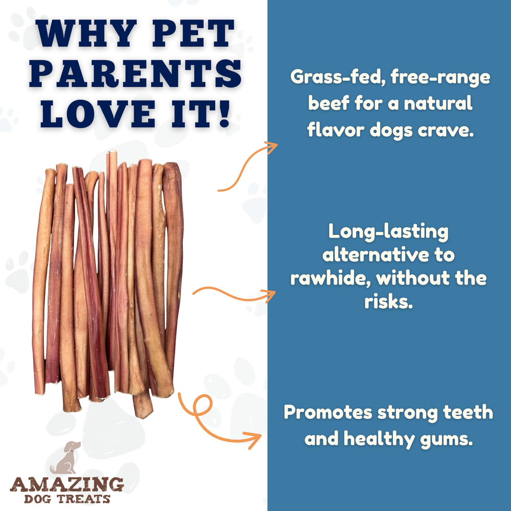Amazing Dog Treats no-hide bully stick closeup highlighting premium single-ingredient chew.