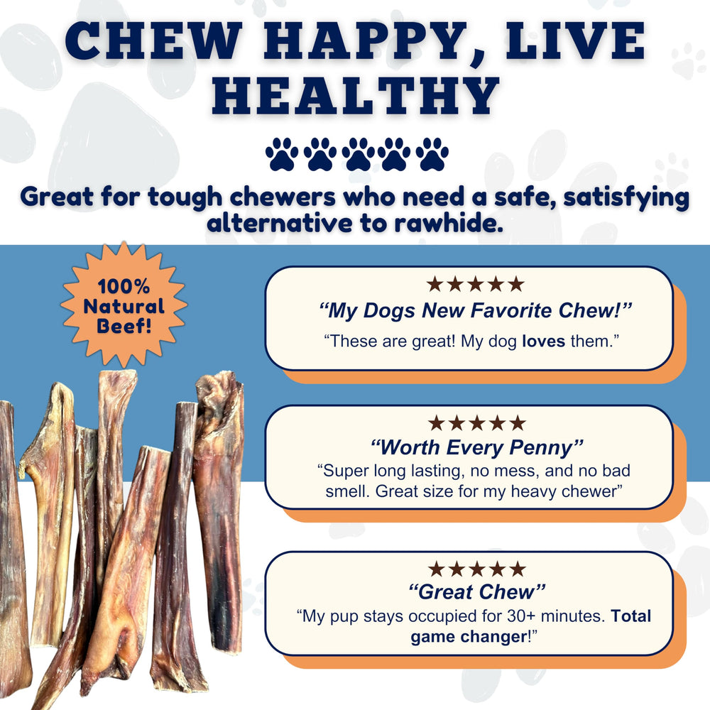 Amazing Dog Treats training reward shot — tasty, long-lasting reward for dogs