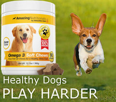 Amazing Nutritionals Amazing Omega-3 for Dogs bottle label closeup emphasizes purity and quality.
