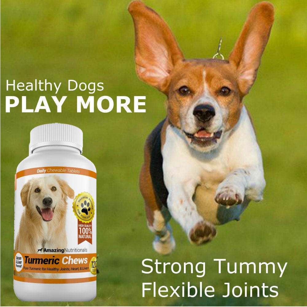 Amazing Nutritionals Amazing Turmeric for Dogs packaging highlighting natural ingredients and allergy friendly formulation