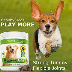 Amazing Nutritionals chew texture close-up highlights easy-to-feed probiotic treats.