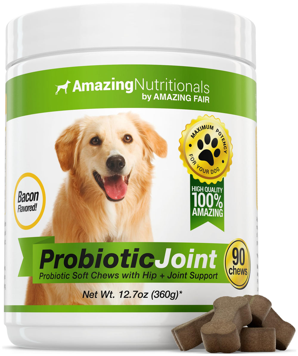 Amazing Nutritionals probiotics bottle showcases bacon liver chews for improved digestion.
