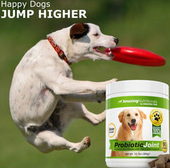 Amazing Nutritionals hip joint chews display joint-supporting formula for active dogs.