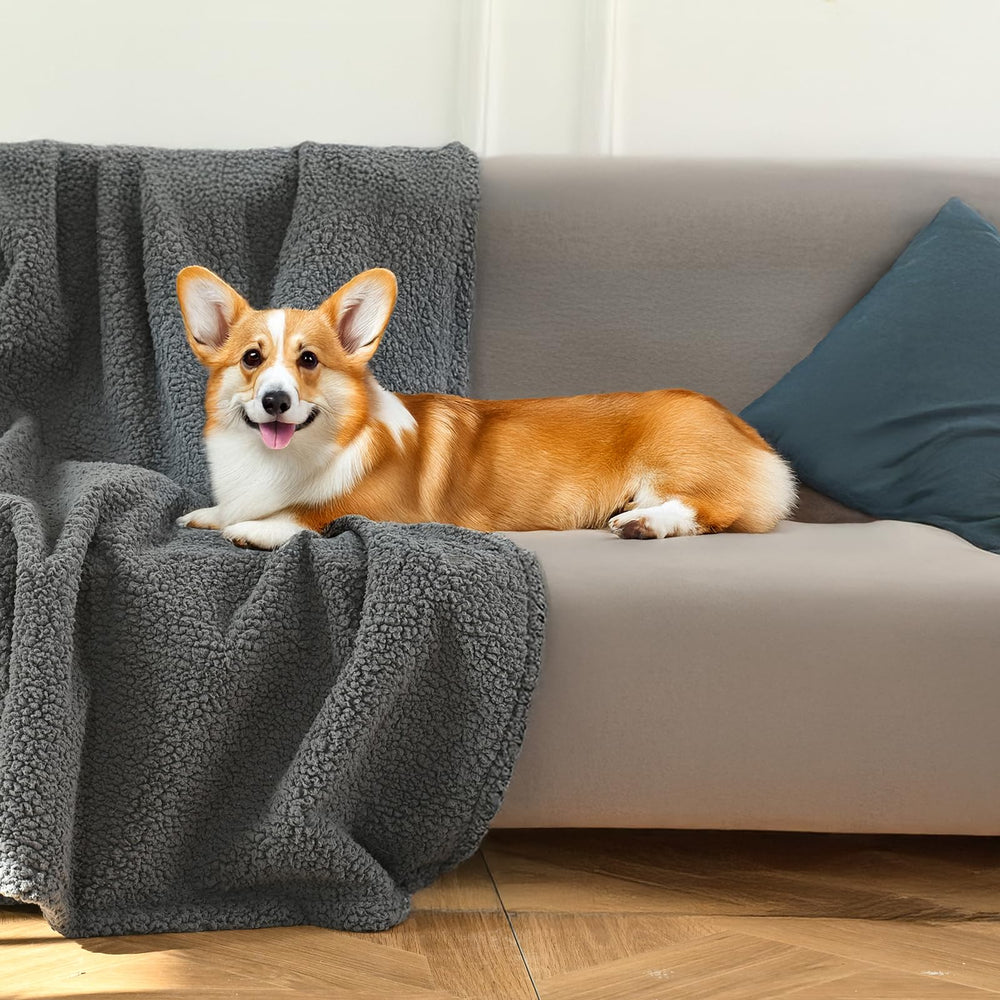 Amazon Basics pet blanket reversible gray side up showing dual style