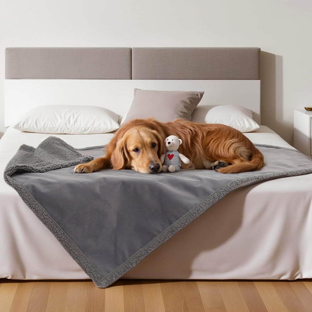 Amazon Basics pet blanket in car showing travel use versatility