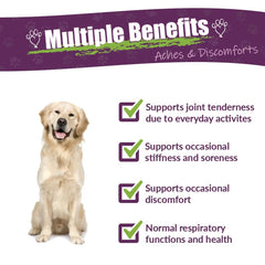 Amber NaturalZ Adizone supports senior dog mobility and joint comfort.