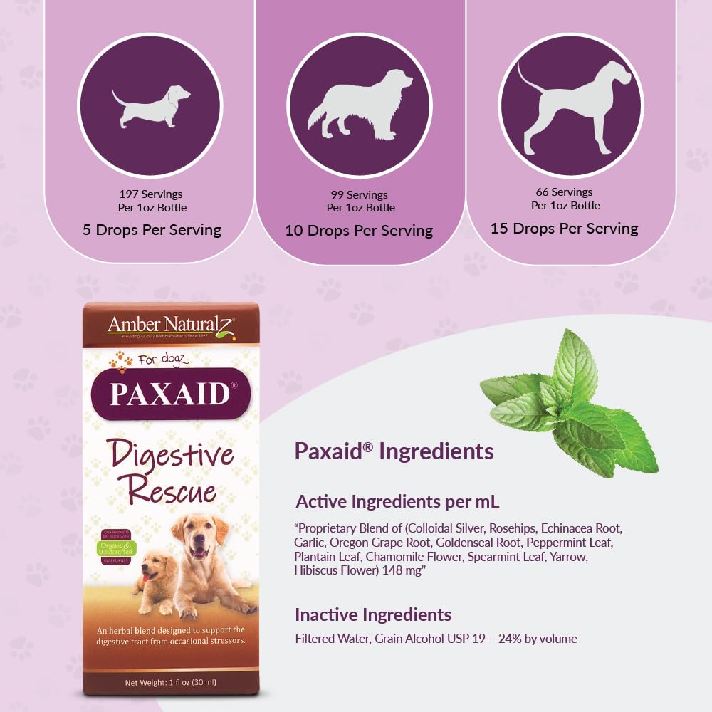 Amber NaturalZ Paxaid gastrointestinal relief promotes firmer stools