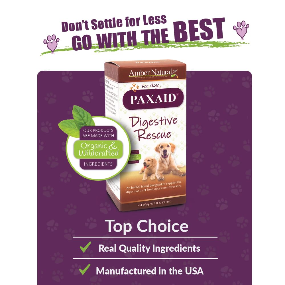 Amber NaturalZ Paxaid immune-support herbs aid gut resilience