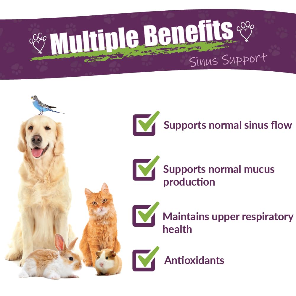 Amber NaturalZ Pet C&C Sinus Support glass bottle ready for at-home dosing.