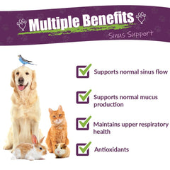 Amber NaturalZ Pet C&C Sinus Support glass bottle ready for at-home dosing.