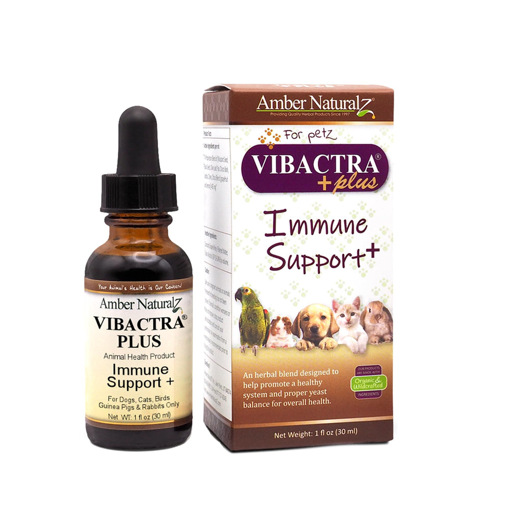 Amber NaturalZ Vibactra Plus bottle with dropper for precise immune-support dosing.