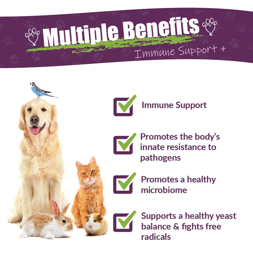 Amber NaturalZ Vibactra Plus proprietary herbal blend highlights immune-support ingredients.