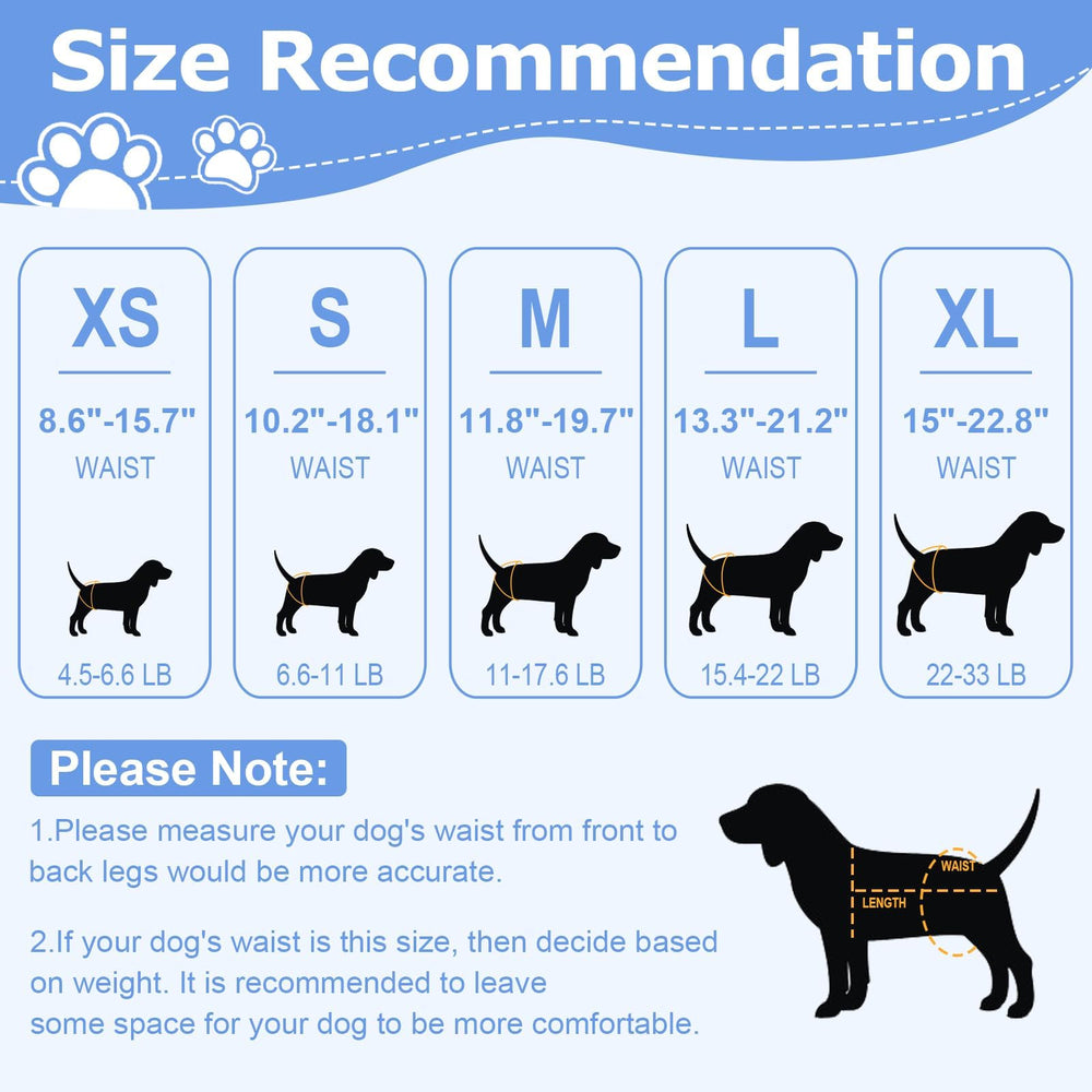 Ambreview dog diaper absorbency test demonstrates quick urine capture