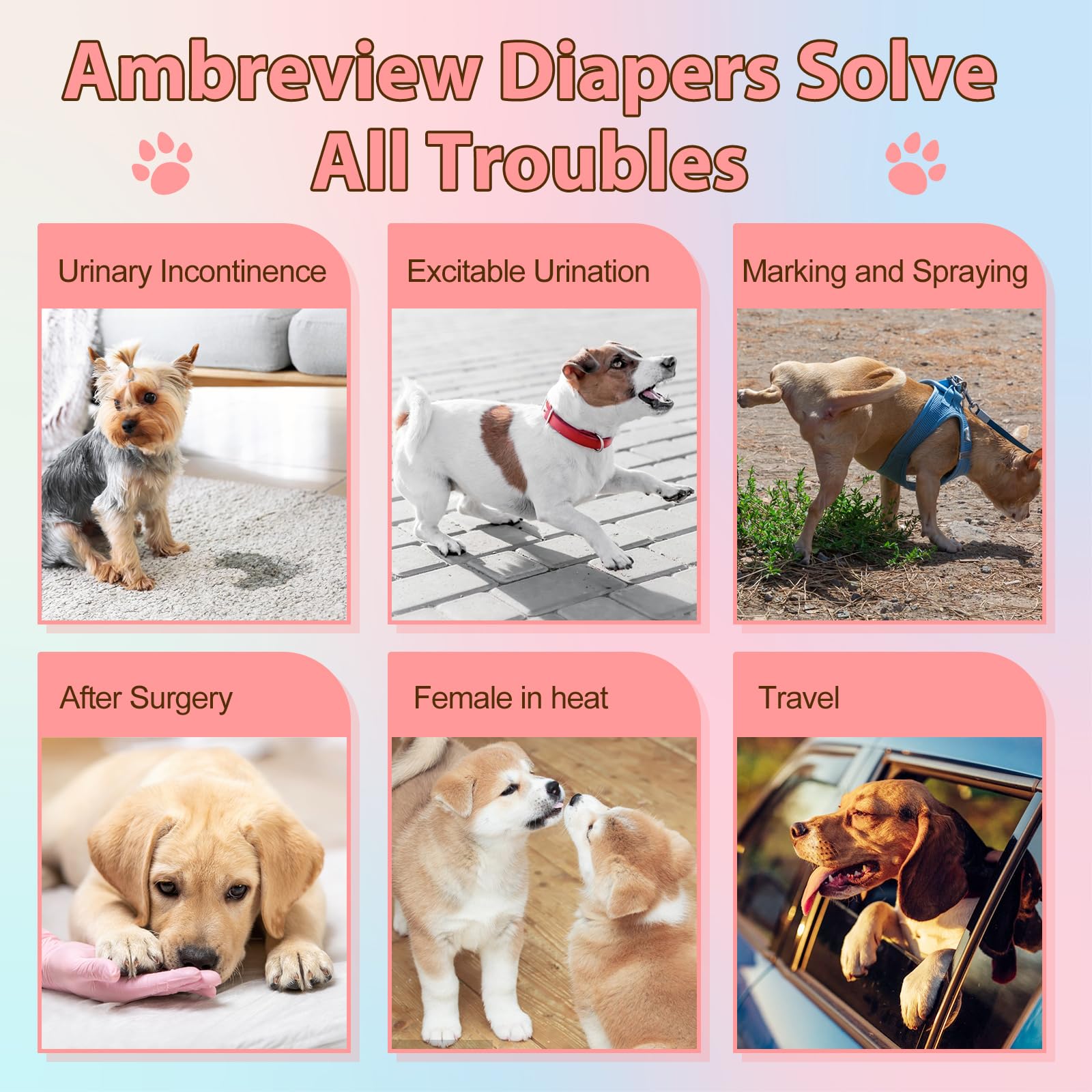 Ambreview 30-pack keeps you ready for daily care