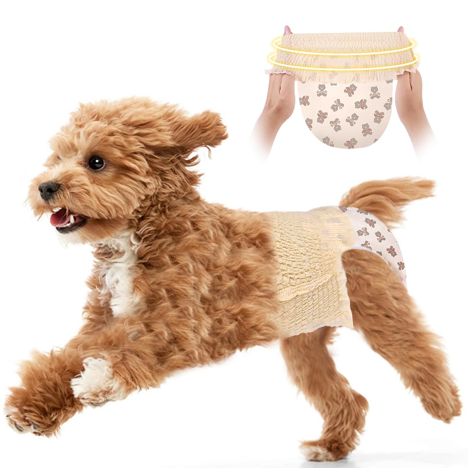Ambreview dog diaper pull-up design stays put during playtime
