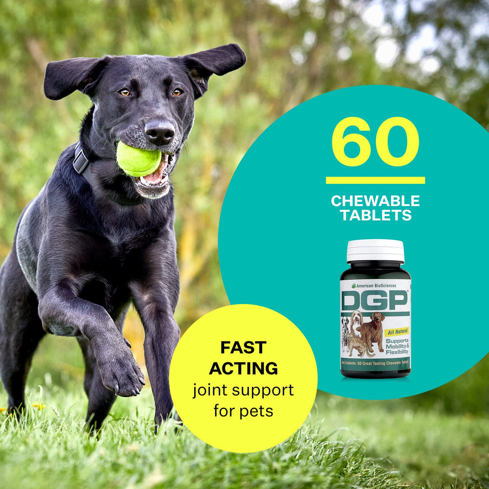 American BioSciences DGP hip joint support for dogs — helps mobility and comfort.