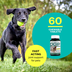 American BioSciences DGP hip joint support for dogs — helps mobility and comfort.