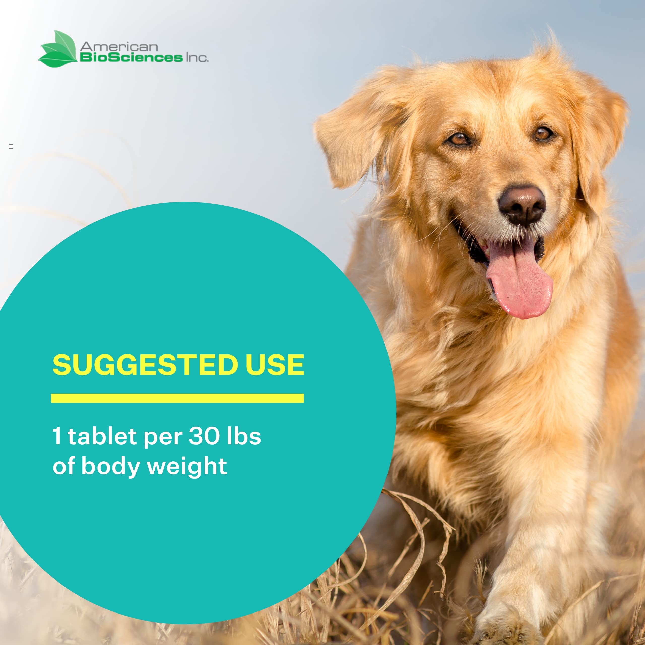 American BioSciences DGP turmeric and boswellia ingredients pictured for natural support.