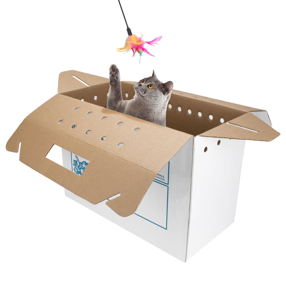 American Health Service in-use during vet visits demonstrates portable convenience for on-the-go care.